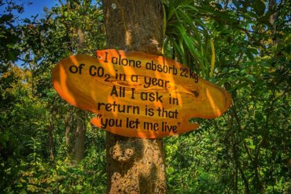 Hier vind je teken het vaakst in de natuur