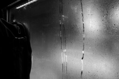 Ella Purnell schittert in films en tv-programma's