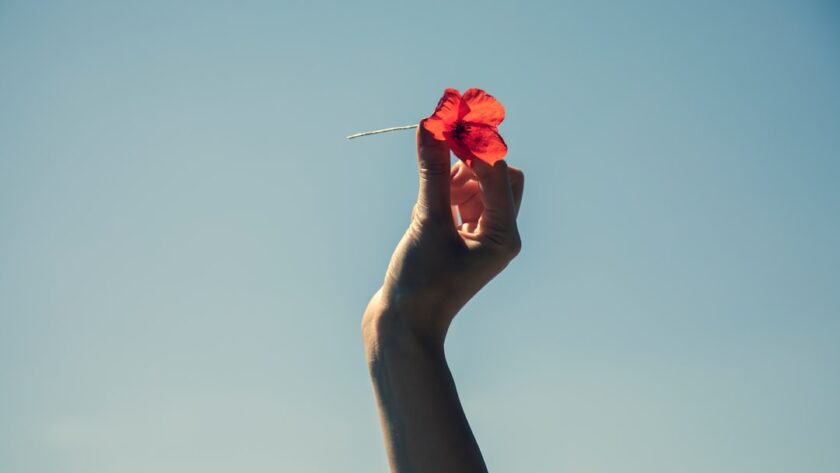 Het bijzondere leven van Tatjana Simic en haar liefde voor Lex van Hessen