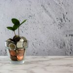 De bijzondere band tussen Max Verstappen en zijn zus Victoria: delen in het succes